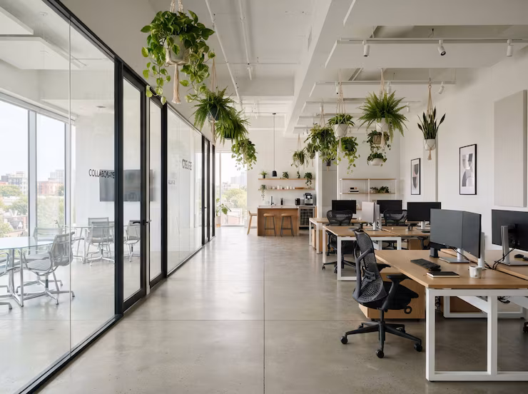 modern-office-interior-with-workstations-hanging-plants_1180783-26098-1